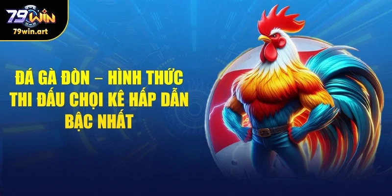 Đá Gà Đòn - Những Trận Đấu Thu Hút Hàng Ngàn Bet Thủ