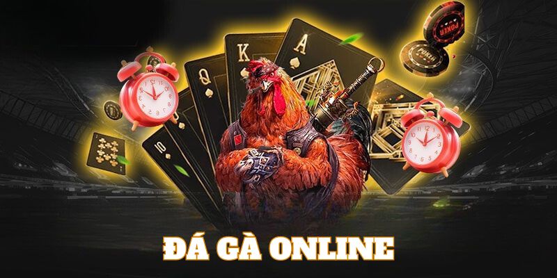 Đá Gà 79WIN - Đá gà trực tiếp kịch tính theo thời gian thực Đá Gà 79WIN - Đá gà trực tiếp kịch tính theo thời gian thực